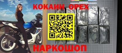 ешки Кингисепп