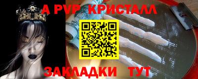 ешки Кингисепп