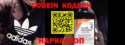 ешки Кингисепп